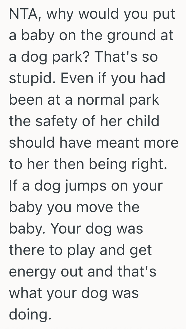 Screenshot 2025 09 11 at 7.27.26 PM Dog Owner Takes Dog To Off Leash Dog Park, But When A Mom Sets Her Baby On A Blanket, The Dog Wont Leave The Baby Alone