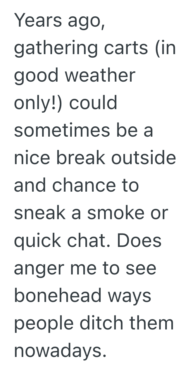 Screenshot 2025 09 12 at 1.48.29 PM Customer Was Too Lazy To Walk Ten Feet To The Shopping Cart Return, So He Ended Up Crashing His Car Into His Own Misplaced Cart