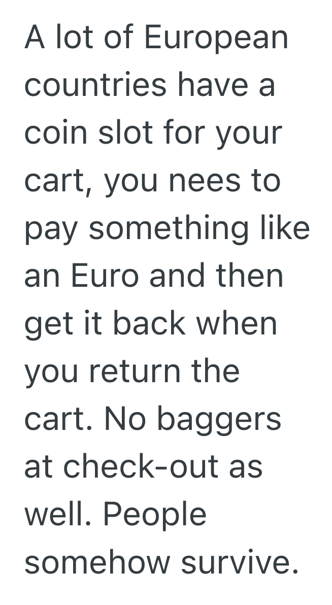 Screenshot 2025 09 12 at 1.49.16 PM Customer Was Too Lazy To Walk Ten Feet To The Shopping Cart Return, So He Ended Up Crashing His Car Into His Own Misplaced Cart