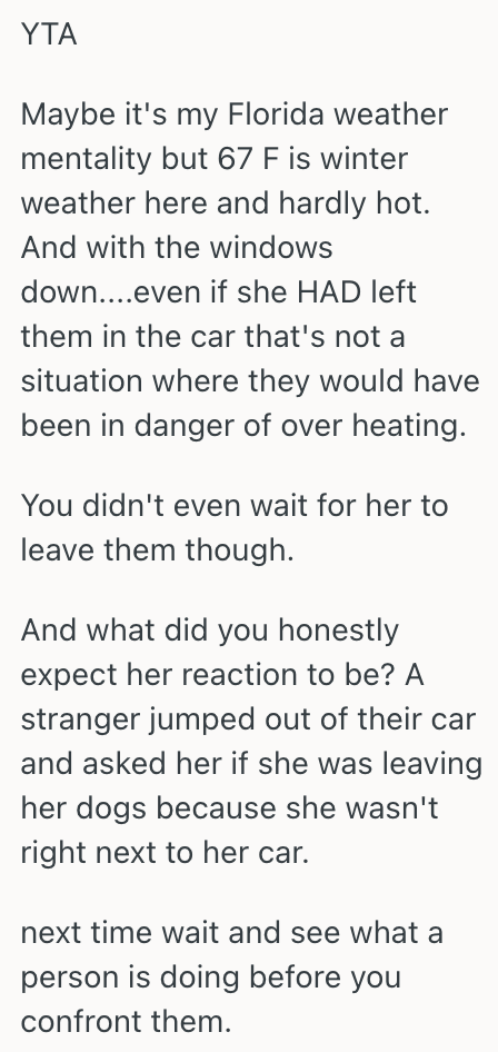 Screenshot 2025 09 15 at 14.23.03 Animal Lover Thought They Saw A Dog Being Abandoned In A Hot Car, So They Acted Fast. But The Reaction From The Dogs Owner Proves The Dangers Of Baseless Assumption.