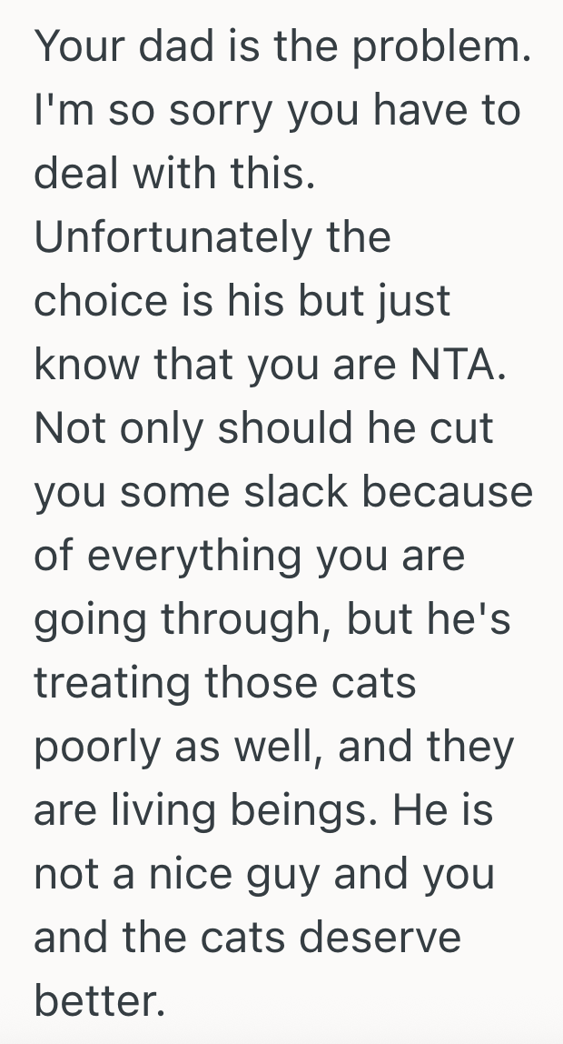Screenshot 2025 09 16 at 10.16.36 PM Teenage Girl Agrees To Take In Her Moms Cats While Her Mom Travels For Cancer Treatment, But The Teens Dad Refuses To Let Them Stay In The House