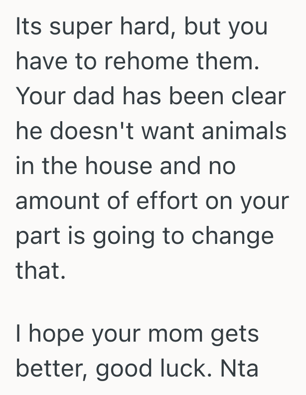 Screenshot 2025 09 16 at 10.16.59 PM Teenage Girl Agrees To Take In Her Moms Cats While Her Mom Travels For Cancer Treatment, But The Teens Dad Refuses To Let Them Stay In The House