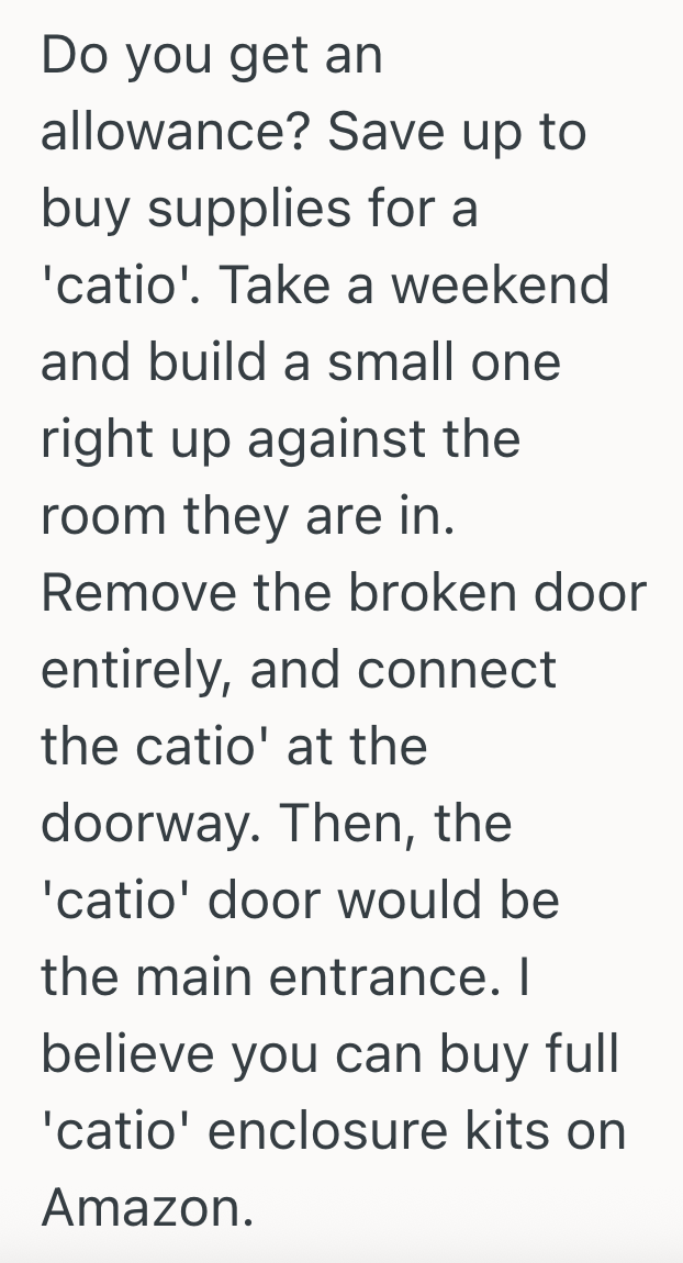 Screenshot 2025 09 16 at 10.17.27 PM Teenage Girl Agrees To Take In Her Moms Cats While Her Mom Travels For Cancer Treatment, But The Teens Dad Refuses To Let Them Stay In The House