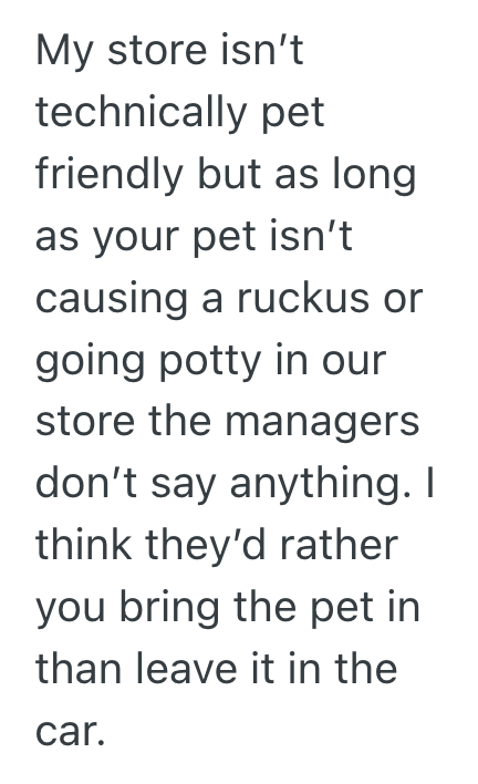 Screenshot 2025 09 17 at 5.00.43 PM Customer Tried To Shame A Dog For Existing In A Pet Friendly Store, So The Cashier Reminded Everyone That The Pupper Belonged There