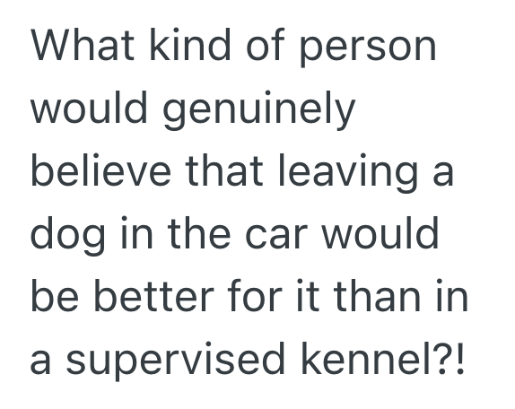 Screenshot 2025 09 18 at 6.54.40 PM Driver Arrives At Theme Park Planning To Leave Her Dog In Her Vehicle, But An Employee Informs Her The On Site Dog Kennel Would Be A Much Better Idea