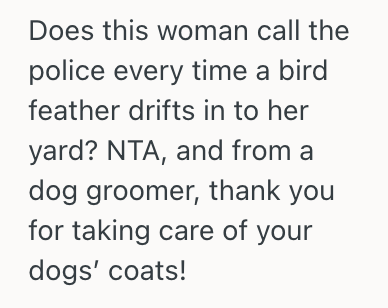 Screenshot 2025 09 19 at 9.38.14 AM Woman Was Grooming Her Dog Outside Her House, But An Unfriendly Neighbor Came Up To Her And Asked Her To Pick Up Her Dogs Fur From The Grass