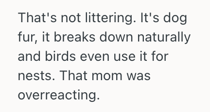 Screenshot 2025 09 19 at 9.39.40 AM Woman Was Grooming Her Dog Outside Her House, But An Unfriendly Neighbor Came Up To Her And Asked Her To Pick Up Her Dogs Fur From The Grass