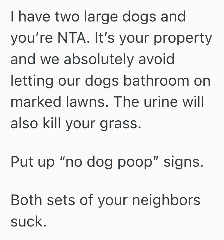 Screenshot 2025 09 22 at 11.52.43 AM Homeowner Tried To Protect Her Lawn From A Misbehaved Dog, But The Selfish Pet Owner Tried To Turn The Rest Of The Neighborhood Against Her