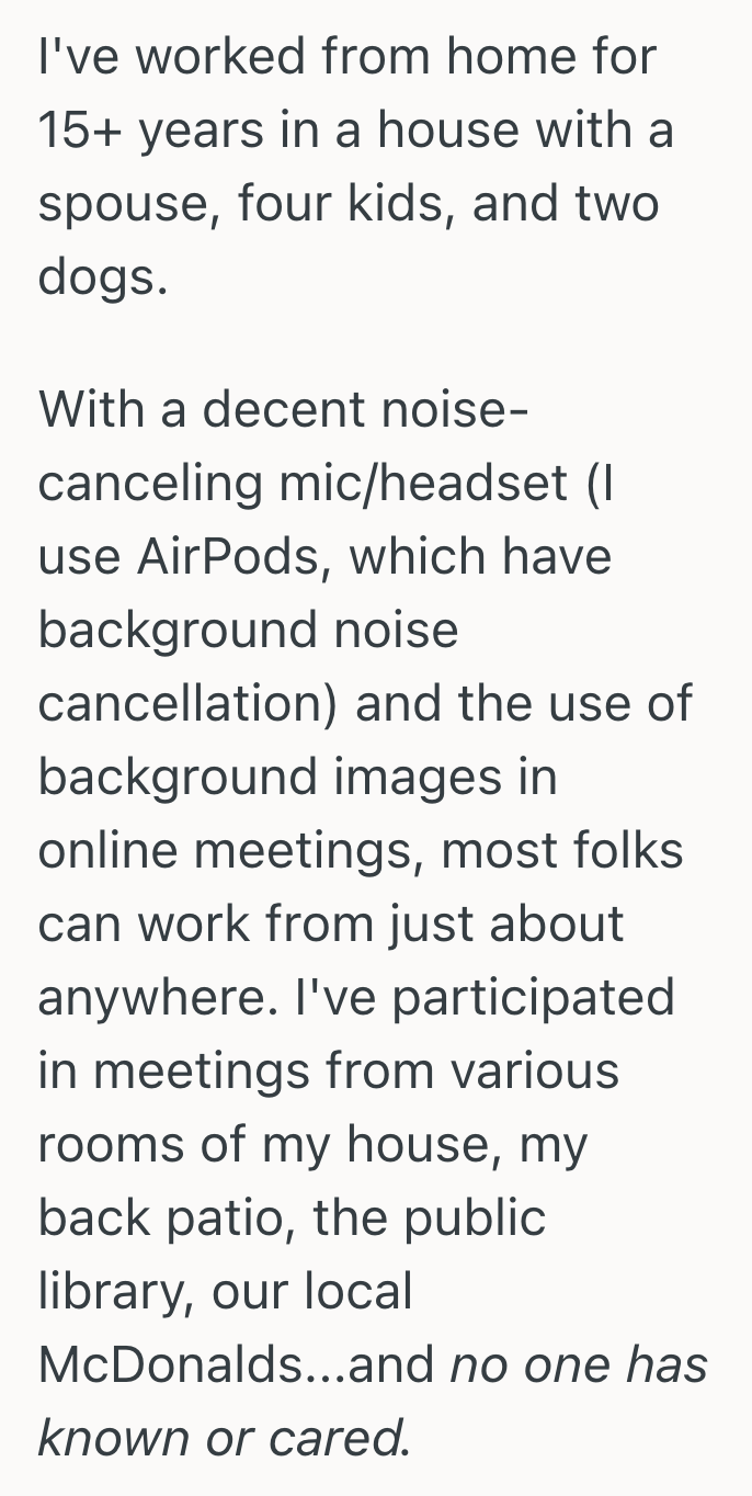 Screenshot 2025 09 24 at 4.04.13 PM Girlfriend Tried To Stay Silent During Her Boyfriends Work Calls, So She Was Angry When He Claimed Her Ironing Was Disrupting His Meeting