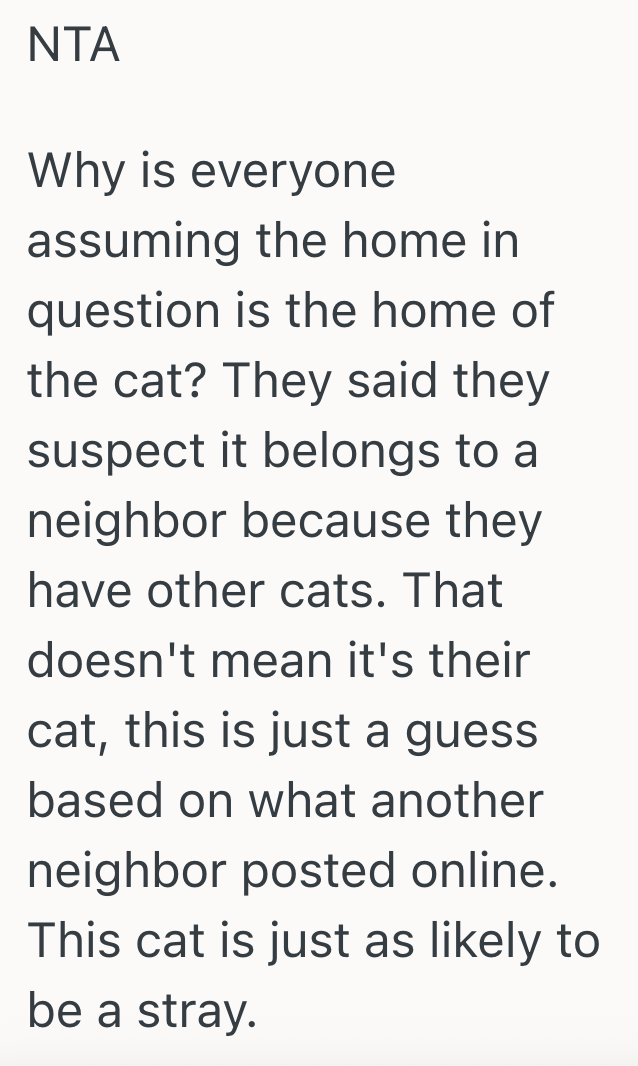 Screenshot 2025 09 24 at 7.25.23 PM Cat Follows Woman Home On A Rainy Night, And Even Though She Thinks She Knows Who The Owners Are, Shes Thinking About Giving The Cat To Someone Else