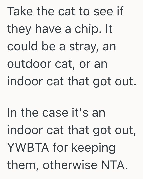Screenshot 2025 09 24 at 7.26.54 PM Cat Follows Woman Home On A Rainy Night, And Even Though She Thinks She Knows Who The Owners Are, Shes Thinking About Giving The Cat To Someone Else