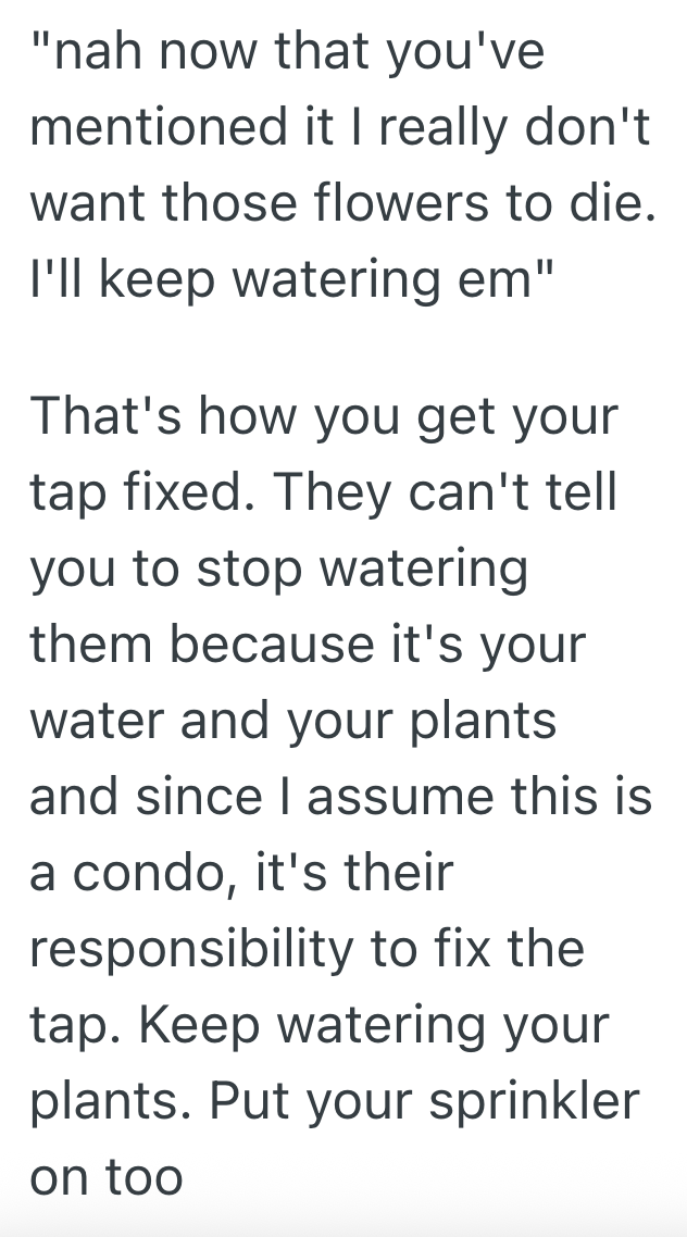 Screenshot 2025 09 26 at 4.45.15 PM Homeowner Wants The HOA To Fix Her Outside Water Faucet, But Instead, They Put Her In Charge Of Watering The Flowers