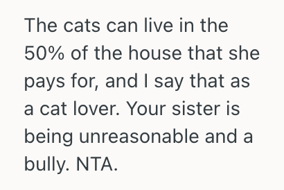 Screenshot 2025 09 27 at 10.02.21 PM Woman Wants A Cat Free Space Where She Can Keep Her Collectibles And Craft Supplies, But Her Older Sister Thinks Shes Being Unreasonable