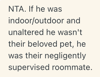 Screenshot 2025 09 27 at 5.06.32 PM Woman Rescued A Loving Stray Cat And Started Caring For It, But Now She Faces A Heartbreaking Choice After Learning That The Cat Has An Owner
