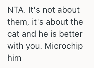 Screenshot 2025 09 27 at 5.07.06 PM Woman Rescued A Loving Stray Cat And Started Caring For It, But Now She Faces A Heartbreaking Choice After Learning That The Cat Has An Owner