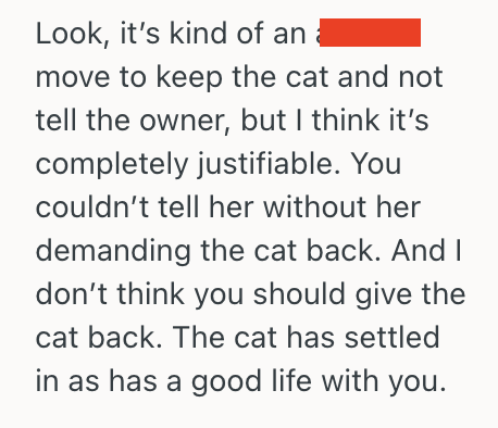 Screenshot 2025 09 27 at 6.08.47 PM Woman Rescued A Loving Stray Cat And Started Caring For It, But Now She Faces A Heartbreaking Choice After Learning That The Cat Has An Owner