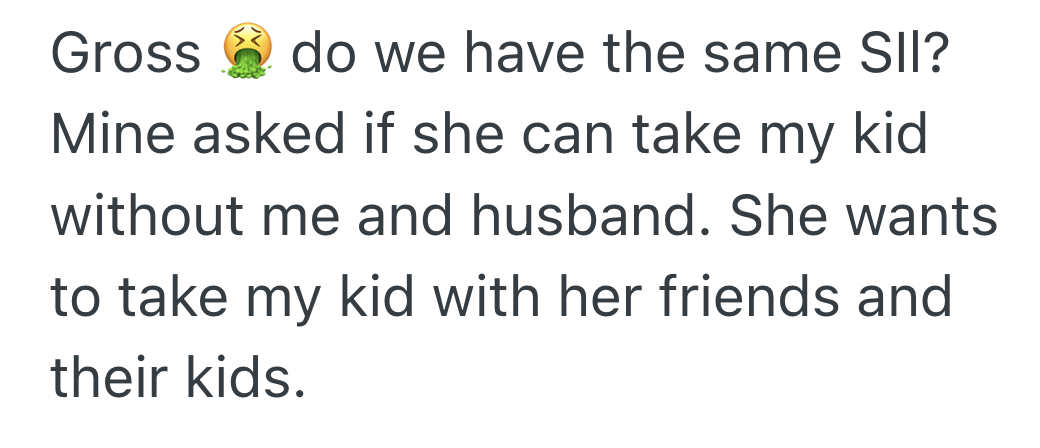 Screenshot 2025 09 30 at 8.53.23 PM Mom Wants To Take Her One Year Old Daughter For Her First Disneyland Vacation, But Her Sister In Law Insists On Taking Her Herself
