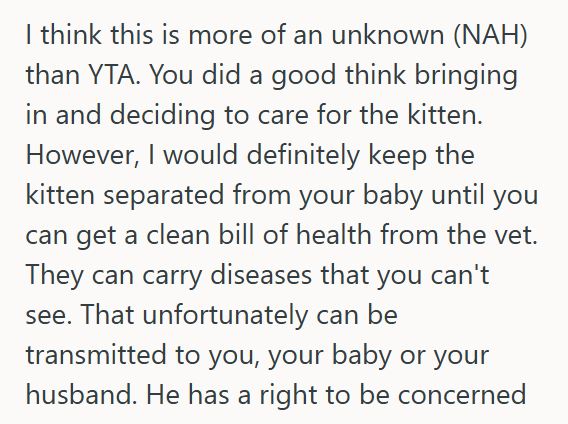 Siamese 1 Wife Fed Starving Kitten Outside Her Door And Then Let It Inside The Apartment, But When Her Husband Found Out, He Demanded She Take It Back Outside Because Of Their Baby