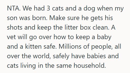 Siamese 2 Wife Fed Starving Kitten Outside Her Door And Then Let It Inside The Apartment, But When Her Husband Found Out, He Demanded She Take It Back Outside Because Of Their Baby