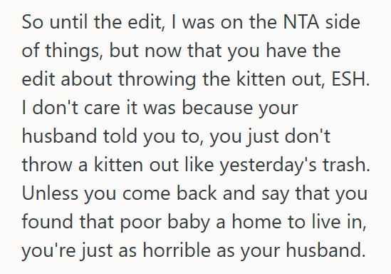 Siamese 3 Wife Fed Starving Kitten Outside Her Door And Then Let It Inside The Apartment, But When Her Husband Found Out, He Demanded She Take It Back Outside Because Of Their Baby