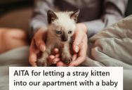 Wife Fed Starving Kitten Outside Her Door And Then Let It Inside The Apartment, But When Her Husband Found Out, He Demanded She Take It Back Outside Because Of Their Baby