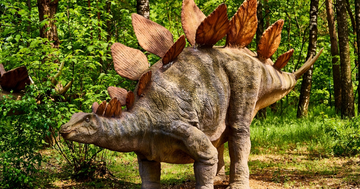 Stegosaurus Did You Know That Just Under Half Of US States Have Official State Dinosaurs? Here Are Some Of The Coolest Ones!