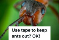 Her Property Manager Asked Her To Apply Tape To Deal With Ants, So She Taped Literally Everywhere
