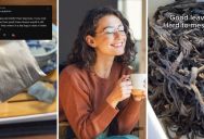 Tea Expert Talks About Why Popular Tea Bags Have Such Low Quality “Tea Dust” And Recommends Using Full Dried Tea Leaves Instead