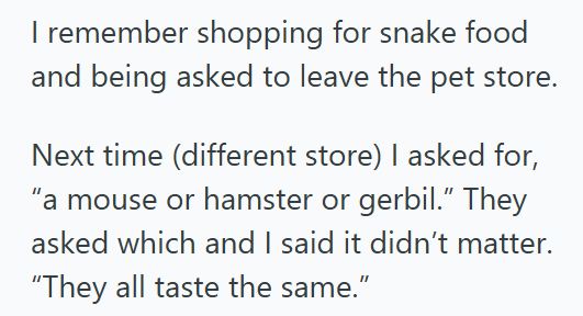 The Voice 3 Shopper Made A Casual Comment By The Kitten Display At A Pet Store, So A Customer Assumed He Worked There Because Of His Voice
