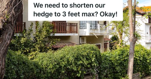 House with tall hedges in the front of it