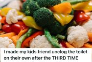 Mom Reached Her Limit With A Picky Eater, So She Told The Child To Deal With A Clogged Toilet All By Herself