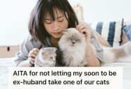 Wife Refused To Give One Of Her Cats To Her Ex-Husband, So Now He’s Threatening To Hire A Lawyer