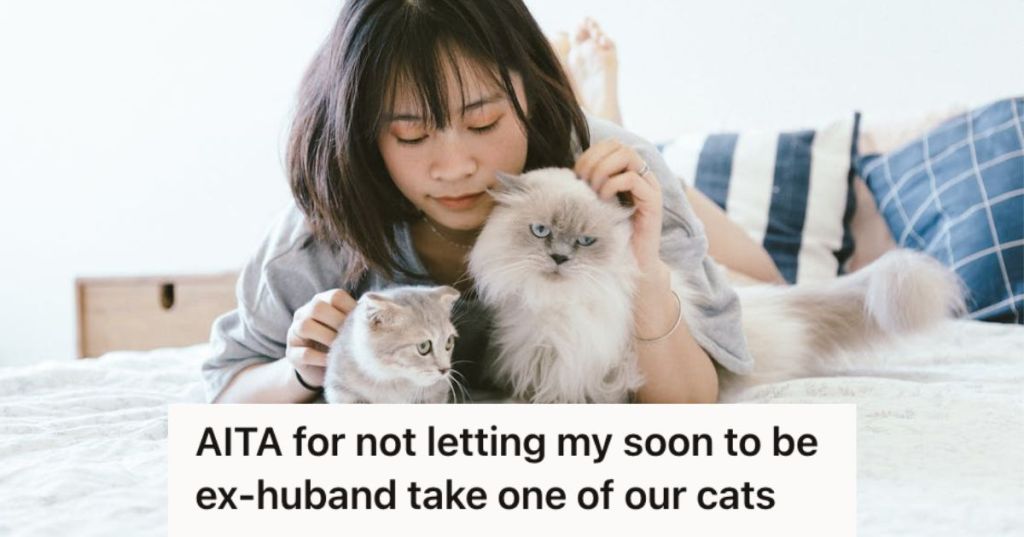 Woman petting and playing with 2 fluffy cats