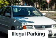 Pet Store Employee Was On A Ladder Getting Some Stuff For A Customer, But Another Customer Barged In And Demanded Immediate Service