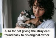 Woman Rescued A Loving Stray Cat And Started Caring For It, But Now She Faces A Heartbreaking Choice After Learning That The Cat Has An Owner
