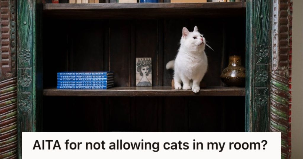 A white cat in the shelf