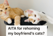 His Cats Haven’t Been Using The Litter Box Consistently, So His Pregnant Girlfriend Wants To Rehome Them