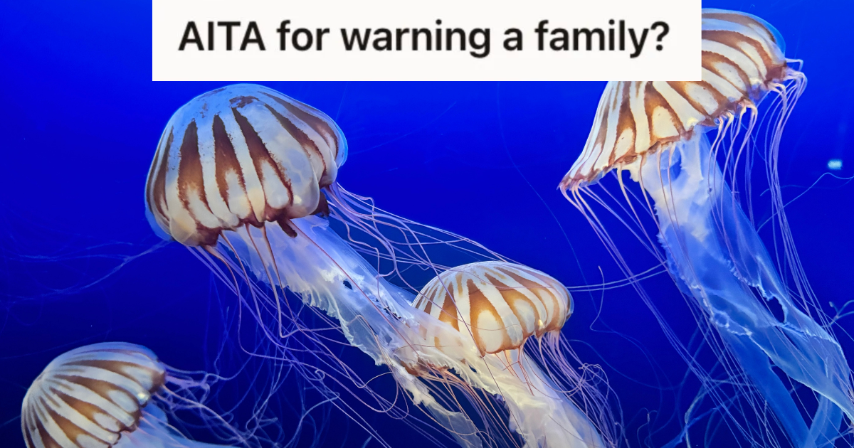 jellyfish in blue water