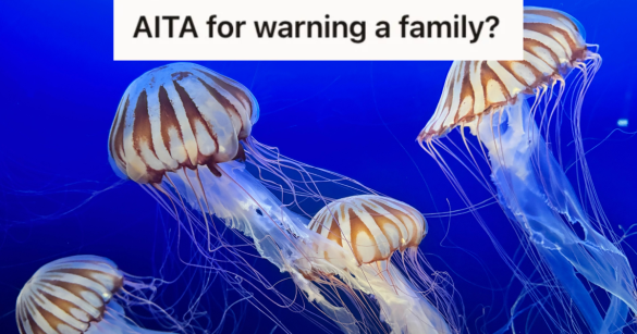 jellyfish in blue water