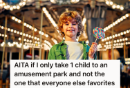 Aunt Wants To Take Her Nephew To An Amusement Park Since He Often Gets Left Out, But The Boy’s Mom Thinks Her Other Son Should Get To Go Too