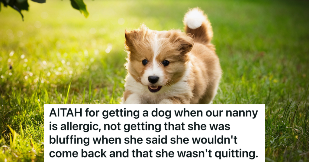 cute brown and white puppy running in the grass