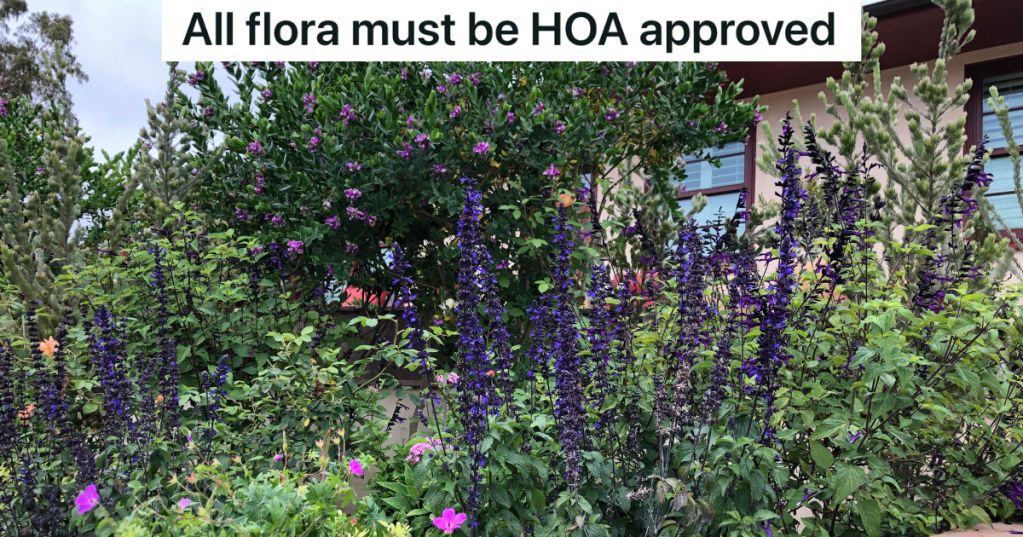 landscaping with native plants in front of house