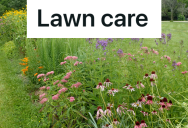 New Neighbors Complain To City About The Neighborhood’s Landscaping, So Half The Homeowners Apply To Become A “Wildlife Habitat”