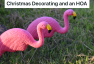Homeowner Submits Christmas Decorating Theme To HOA For Approval So There Was Nothing They Could Do About The Final Design
