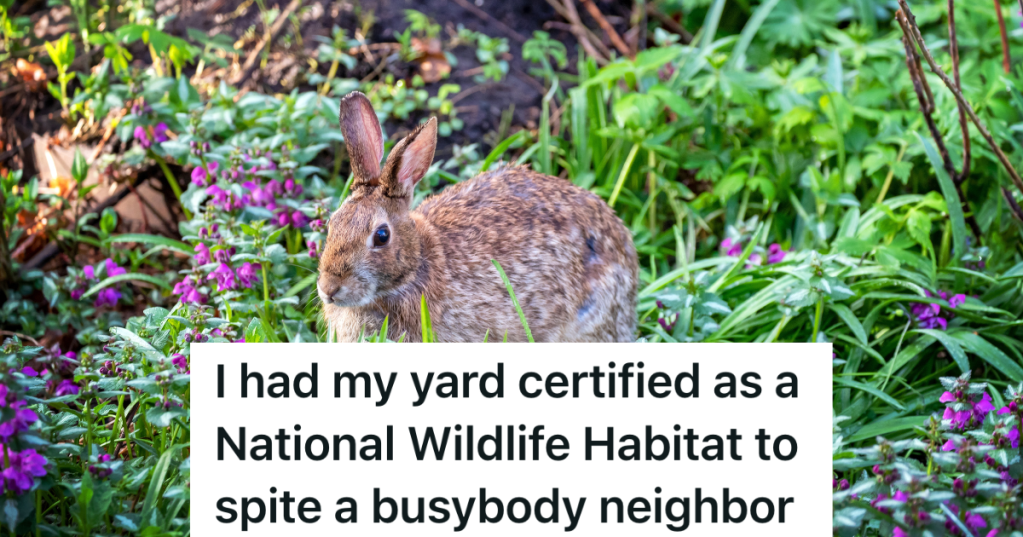 bunny in yard filled with wild plants