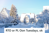 Employee Who Usually Works From Home Doesn’t Want To Drive To The Office On Snowy Days, So He Takes A Day Off If He’s Scheduled To Go Into The Office And It’s Snowing