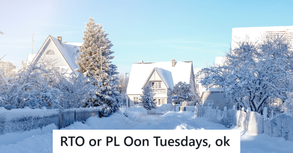 houses and street covered in snow