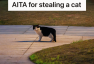 Cat Follows Woman Home On A Rainy Night, And Even Though She Thinks She Knows Who The Owners Are, She’s Thinking About Giving The Cat To Someone Else