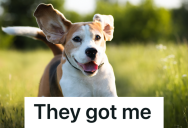 HOA Requires Pet Owners To Submit Their Pup’s DNA, But When One Owner Refuses, The HOA Doesn’t Back Down