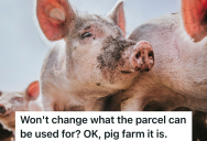 Woman’s Land Is Zoned For Agricultural Use Even Though It’s Surrounded By Residential Land, So She Plans To Use It For A Pig Farm Since County Officials Won’t Change The Usage